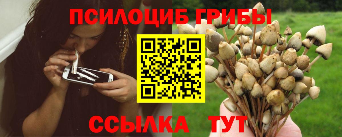Галлюциногенные грибы Cubensis Ростов-на-Дону